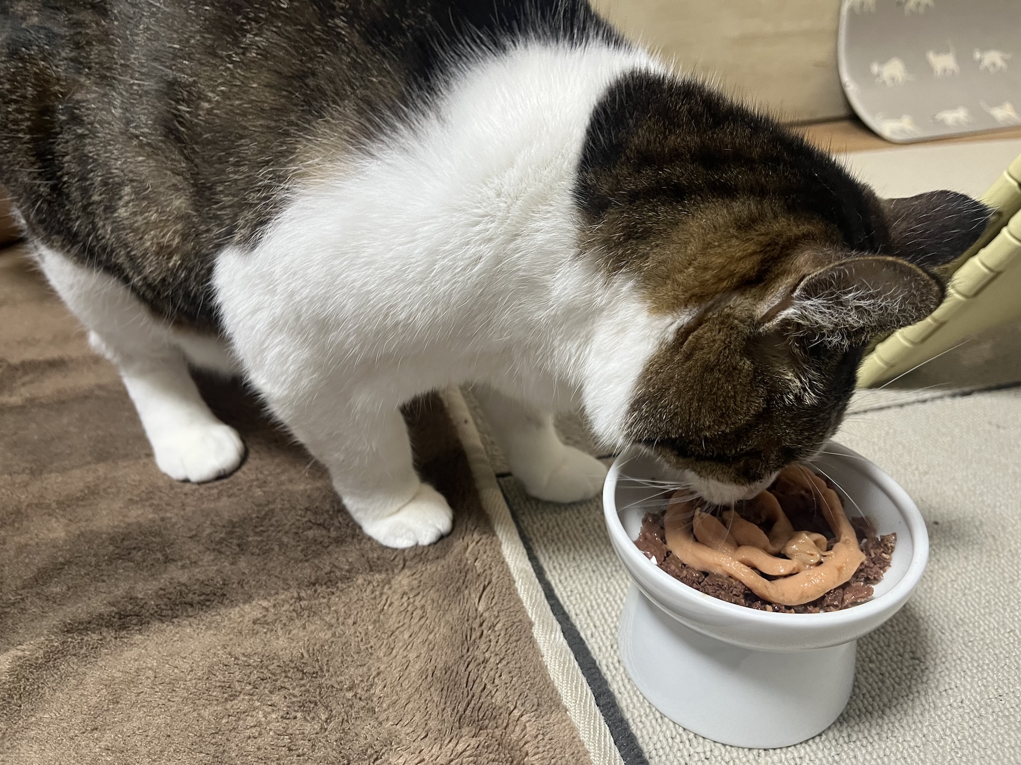 えらかったからちゅーるトッピング