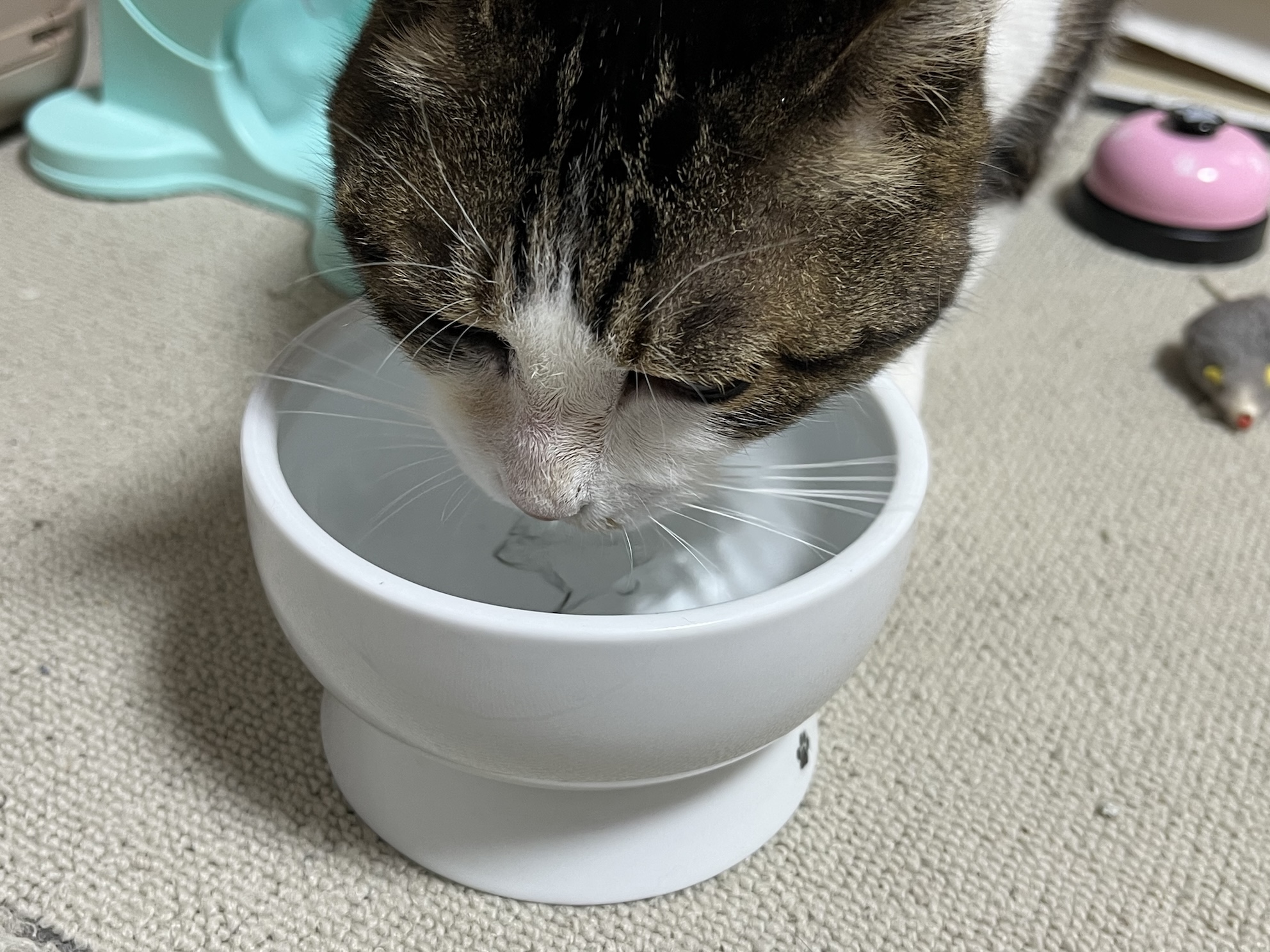 めっちゃ飲むじゃん