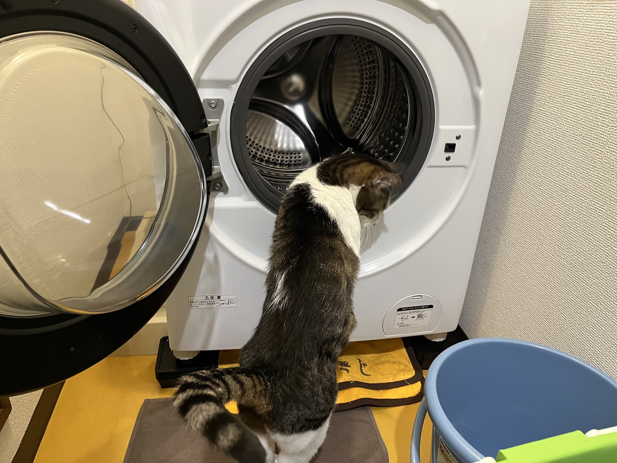 興味津々