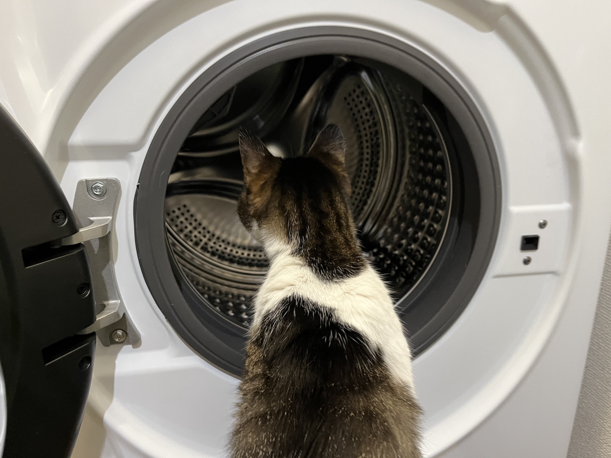 入っちゃいそう(ほぼ入ってる)