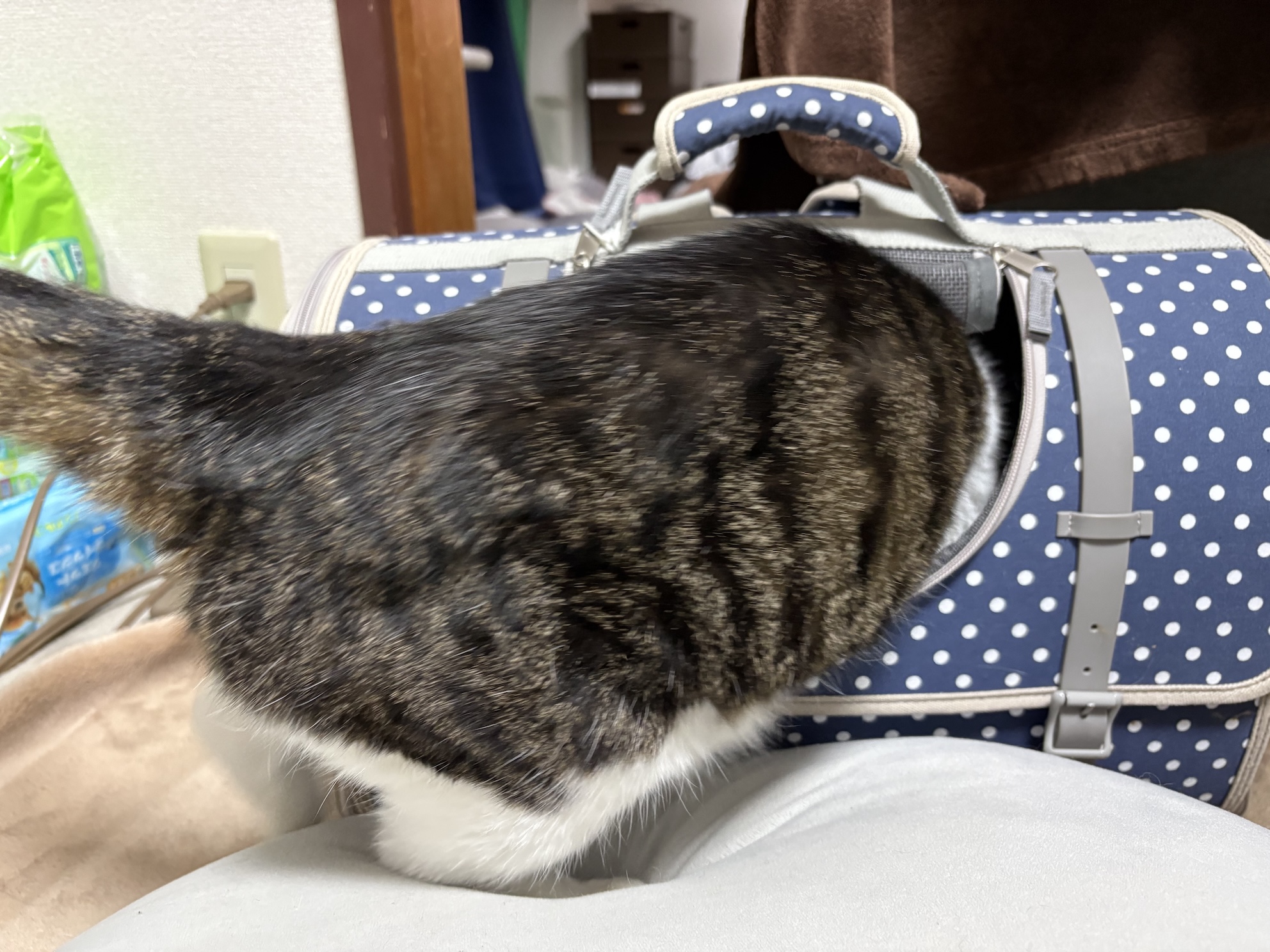 逃走